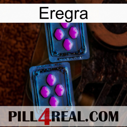 Eregra 03